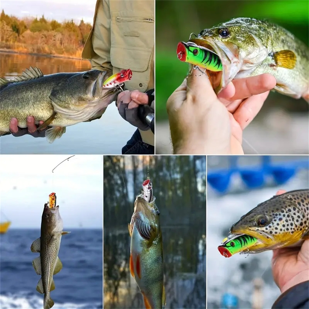5Pcs Popper Fishing Lures 3d E - Fishing Lure Popper ulasan dan harga